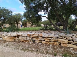 Balcons-d-herault-c